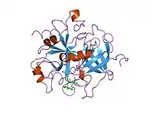 1dwc: CRYSTALLOGRAPHIC ANALYSIS AT 3.0-ANGSTROMS RESOLUTION OF THE BINDING TO HUMAN THROMBIN OF FOUR ACTIVE SITE-DIRECTED INHIBITORS