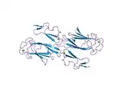 1szb: Crystal structure of the human MBL-associated protein 19 (MAp19)