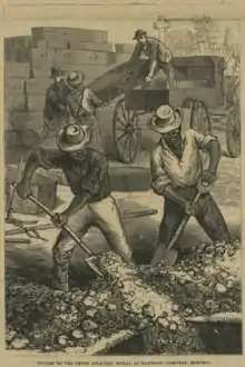 Yellow Fever Burials at Elmwood Cemetery