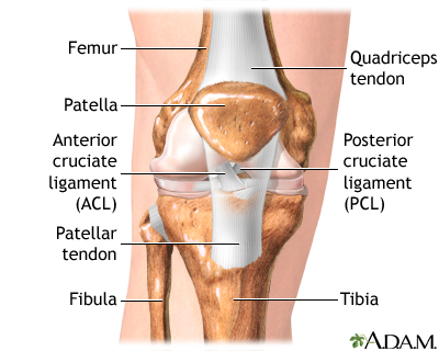 Anterior cruciate ligament repair - series Anterior cruciate ligament repair - series