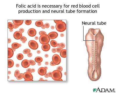 Folic acid Folic acid