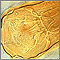 Hookworm - close-up of the organism Hookworm - close-up of the organism