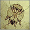 Scabies mite - photomicrograph