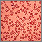 Thalassemia minor Thalassemia minor