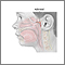 Adenoid removal - Series Adenoid removal - Series