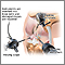 Knee arthroscopy Knee arthroscopy