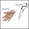 Carpal biopsy Carpal biopsy