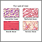 Tissue types Tissue types