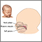 Infant hard and soft palates Infant hard and soft palates