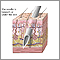 Skin layers and needles Skin layers and needles