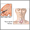 Thyroid function test Thyroid function test