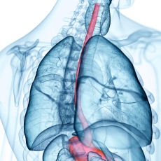 Esophagus Disorders