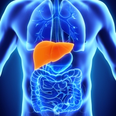Liver Diseases
