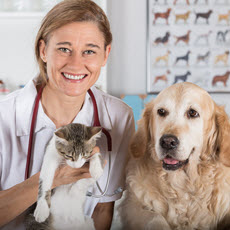 Pet Health
