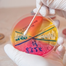 Staphylococcal Infections