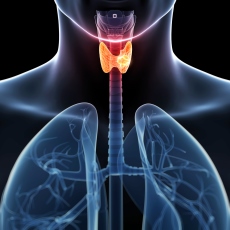Thyroid Cancer