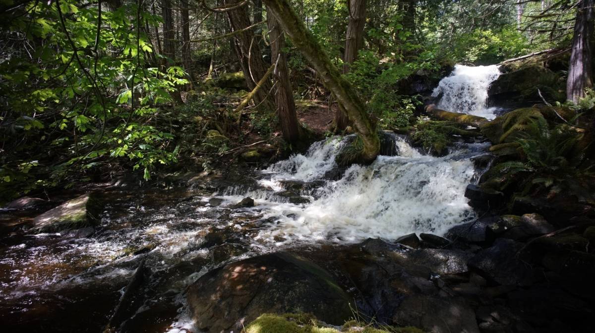 a waterfall in the forest