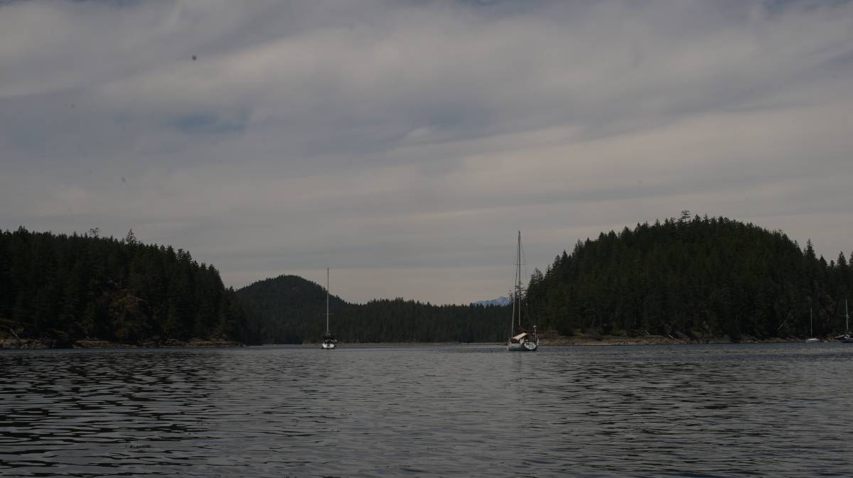 pino in hayathim marine park