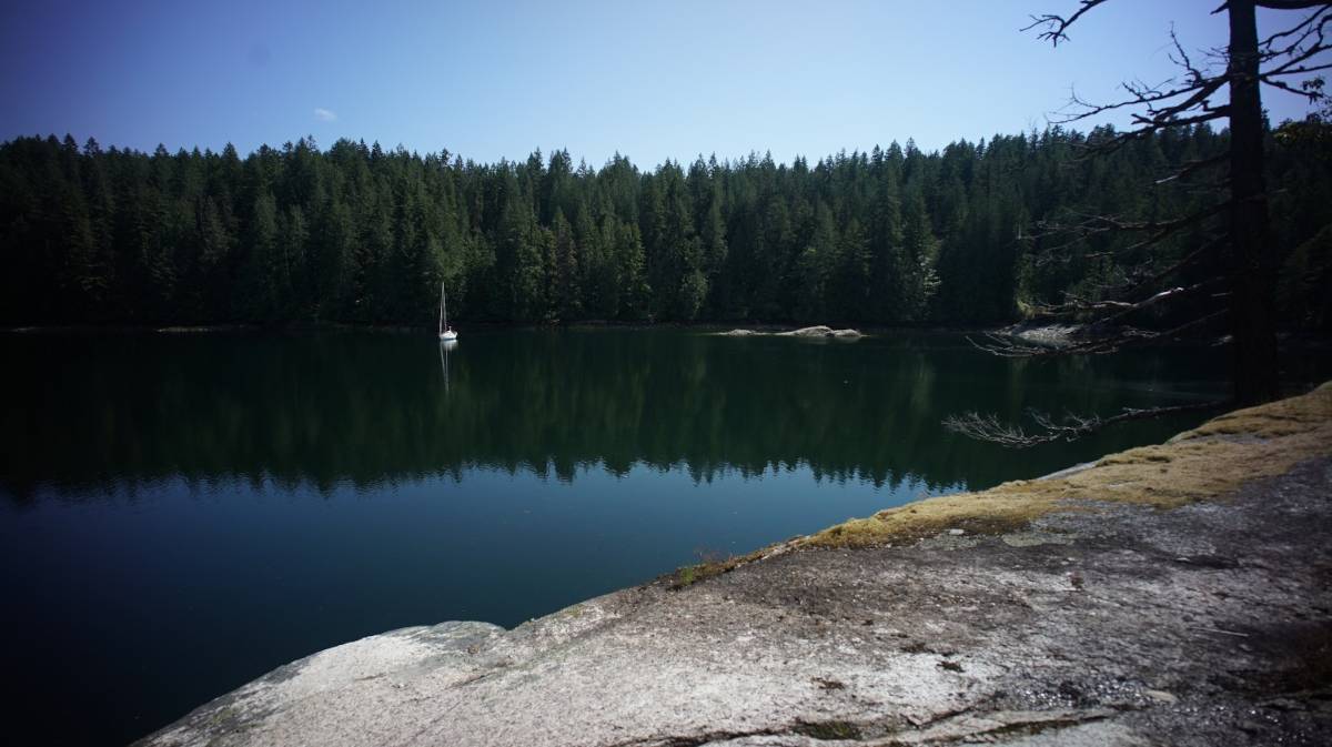 a view of pino from the shore, alone in an anchorage