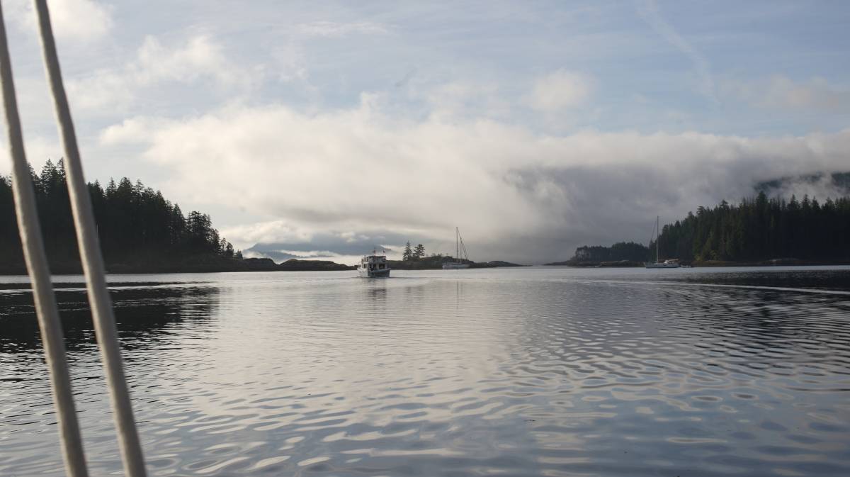 a wall of fog envelops the octopus islands