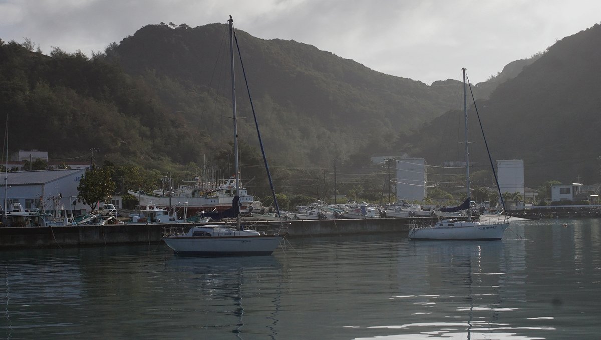 two local sailboats on their moorings