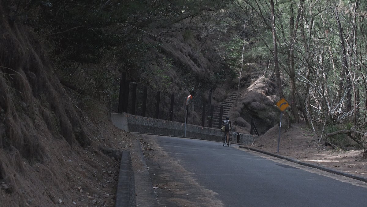 cycling through the forest trails