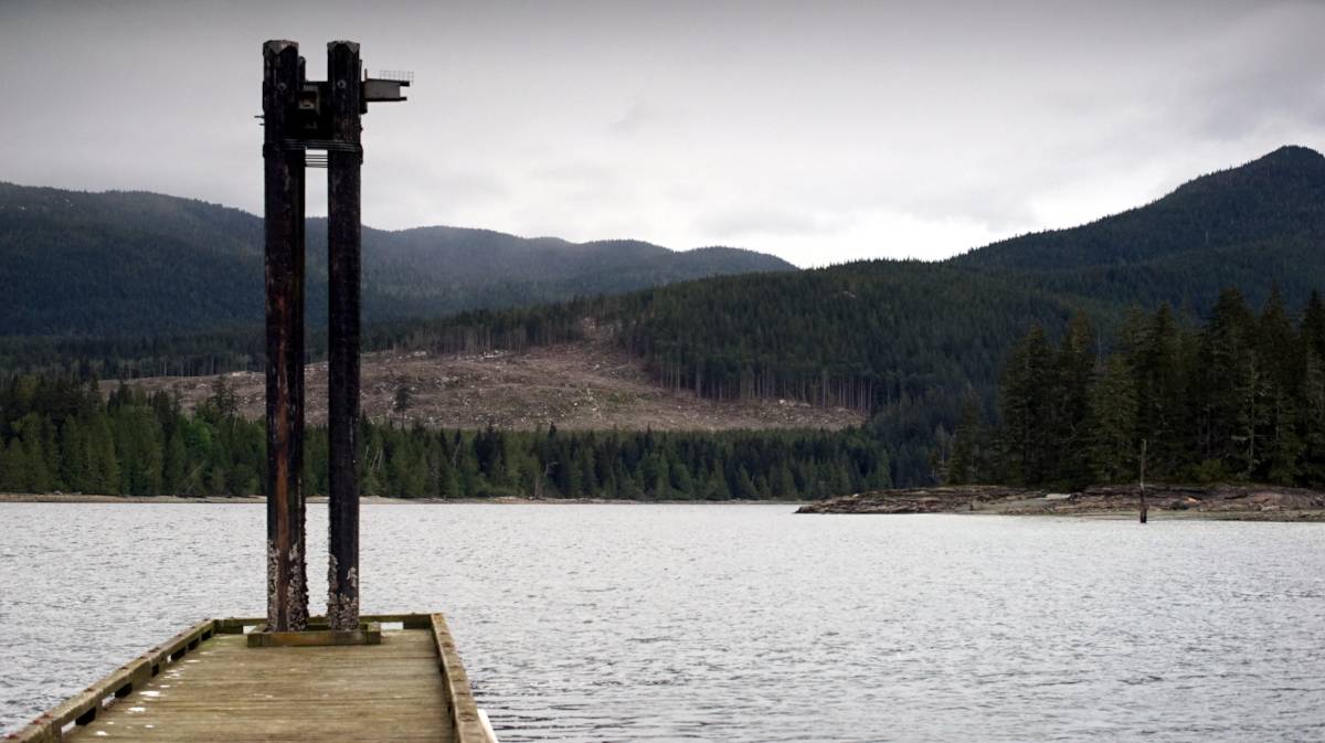 view of a logged mountain from the port neville government dock