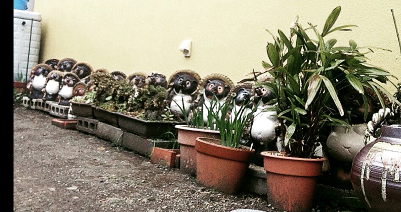 a row of tanuki statues in front of a house in Shimizu