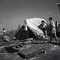 Eitanim workers Tel Mond 1947