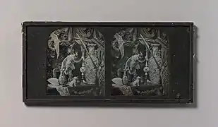 Still-life with Cockatoo, Mirror, Ornamental Ball, Vases, and Lace