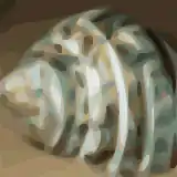 Vectorization to 48 colors (Inkscape)