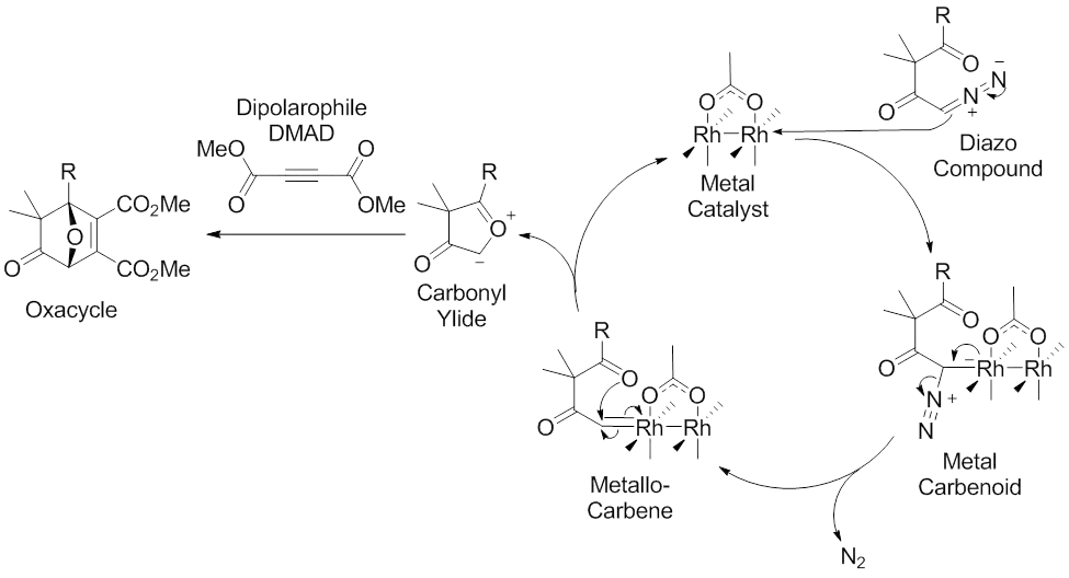Scheme 7. Accepted mechanism of the 1,3-dipolar cycloaddition reaction mediated by metal catalysis (example dirhodium catalyst) of diazocarbonyl compounds. Modified from M. Hodgson, D.; H. Labande, A.; Muthusamy, S. In Organic Reactions; John Wiley & Sons, Inc.: 2004.