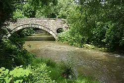 cloudy river flowing under a single-arch stone bridge, partly obscured by overhanging tree foliage