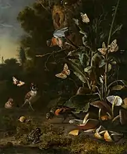 Birds, Butterflies and Frog with Plants and Fungi (1668), oil on canvas, 68.3 x 56.8&nbsp;cm., National Gallery