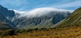 A mist covered peak in the background, yellow alpine grasses in the foreground