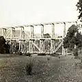 Bush tramway bridge with eight piers beside the Hutt River at Te Mārua