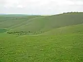 Downland on Milk Hill