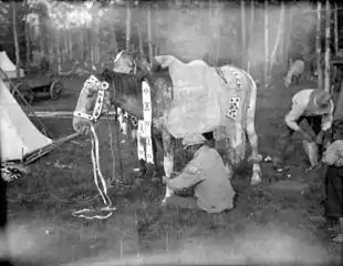Dressing a horse for a ceremony, Nakoda summer camp near Banff, Alberta