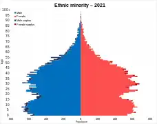 Ethnic minorities