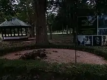 First Rubber Plant in Sri Lanka at Henarathgoda Botanical Garden
