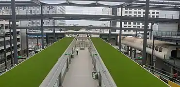 Shuttle Transit station at North Terminal in 2019 showing centre platform, platform doors and green roofs over tracks