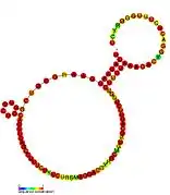 HOTAIR_3: Secondary structure taken from the Rfam database. Family RF01906