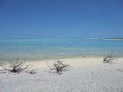 Flora, Fauna and landscapes from The Thirteen Islands of St. Brandon