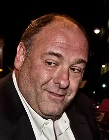 Actor James Gandolfini at the 2011 Toronto International Film Festival