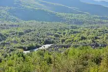 A section of the gorge covered with stones after the collapse of the Kolka glacier