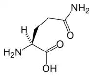 L-Glutamine(Gln / Q)