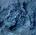 Burial 6. Excavation at exposition 11.