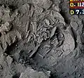 Burial 6. Excavation at exposition 12.