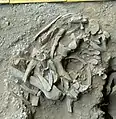 Burial 11 - Excavation at exposition 6.