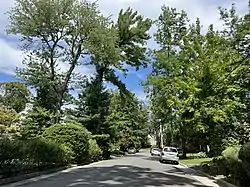 Locust Street in Great Neck Gardens on August 14, 2022.